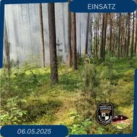 2025-05-14_Waldbrand(1).jpg