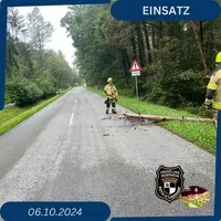 2024-10-06_Baum auf Fahrbahn.jpg