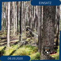 2025-05-14_Waldbrand(2).jpg